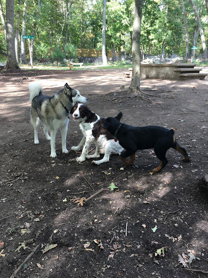 Goldstein Open Space