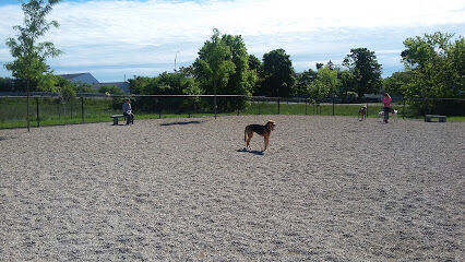 Paws & Play Dog Park