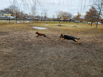 Salem Play Area for Canine Exercise (SPACE)