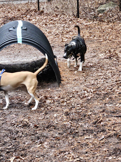 Bark Place Dog Park