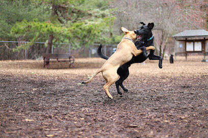 Sharon Dog Park