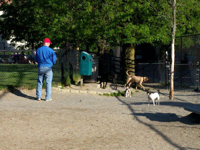 Nunziato Dog Park