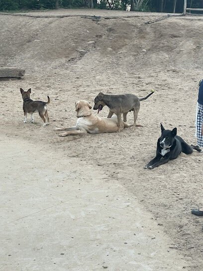 Friends of South Hadley Dog Park