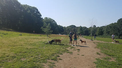 Sheepfold Dog Park