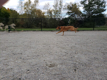 Waltham City Dog Ranch