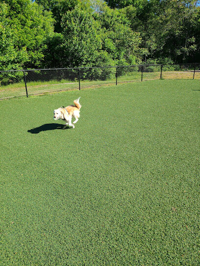 Bell Watertown Public Dog Park