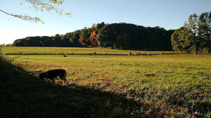 Tufts Farm Field