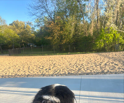 Westboro Dog Park