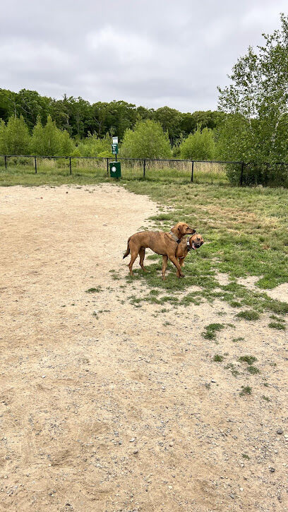 South Field Dog Park - Union Point