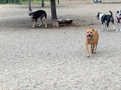 Wilmington Dog Park