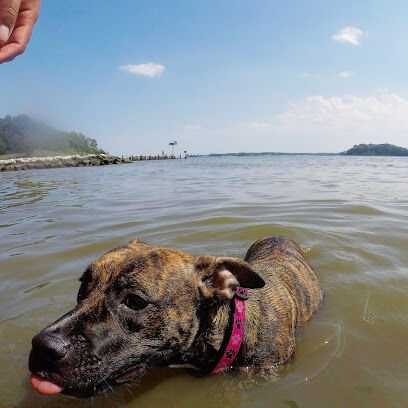 Quiet Waters Dog Park