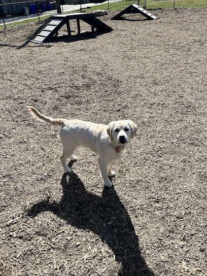 Bark Park