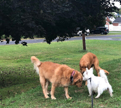 Burdick Bark Dog Park