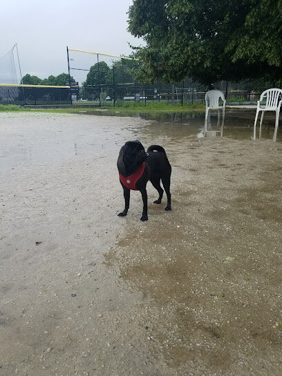 Canton Dog Park