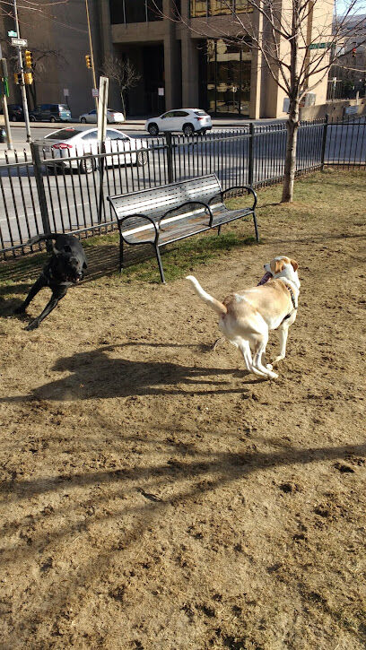 Liberty/Park Dog Walk
