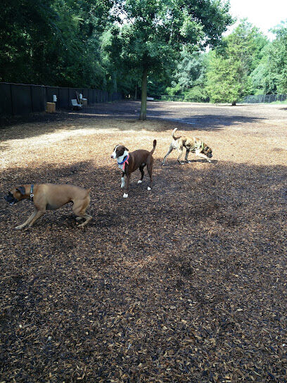 Bowie Dog Park