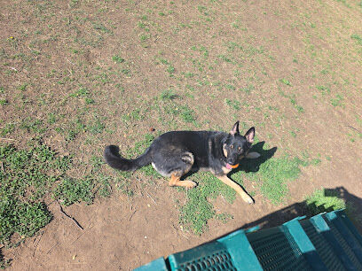 Fifth District Dog Park