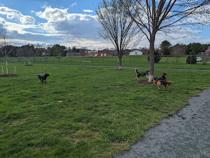 Chestertown Dog Park