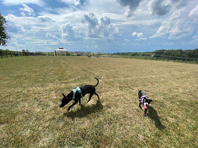 Piedmont Woods Dog Park