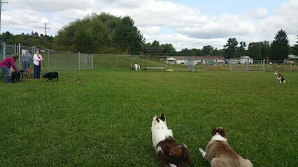 Frostburg Dog Park