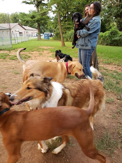 K9 Cody Dog Park