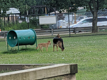 Heurich Dog Park