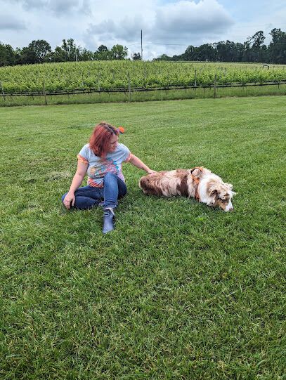 Linganore WineCellars Dog Park