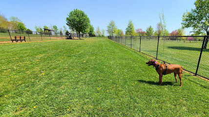 Watkins Park - Mount Airy Dog Park