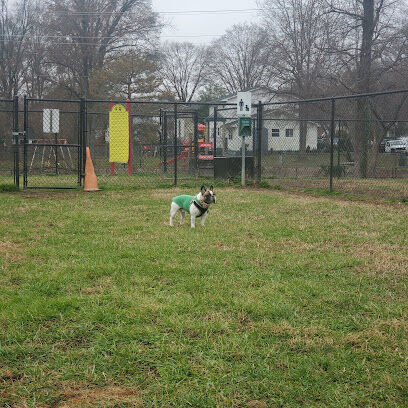 New Carrollton Dog Park