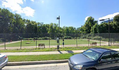Dog Park