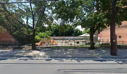 Dog Park