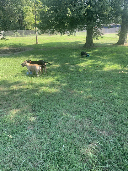 Waggertail Dog Park