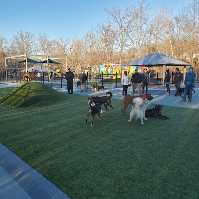 Dog Park at Dewey Local Park