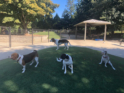 Ellsworth Park and Dog Park