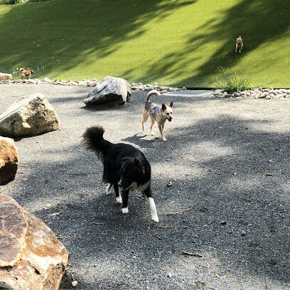 Takoma Park Dog Park