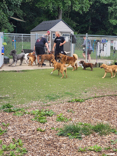 Bennett Cerf Dog Park (Members Only)