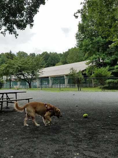 Dog Park in Wheaton Regional Park