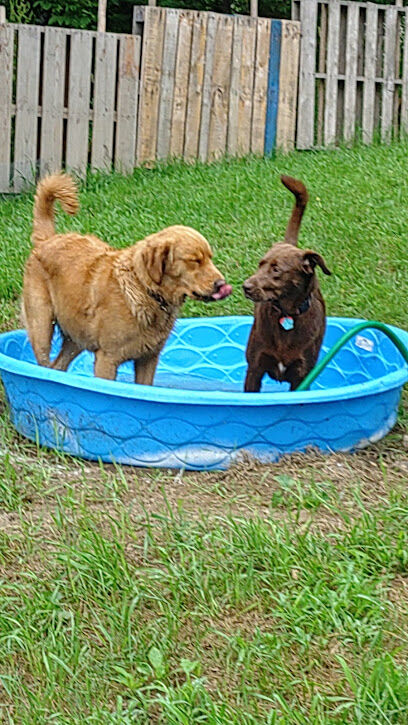 Summer's Sniff Spot
