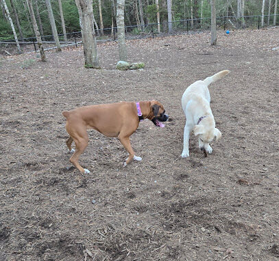Kennebunkport Dog Park