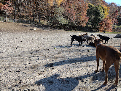 Valley Street Dog Park