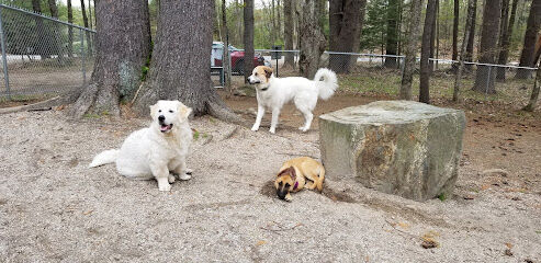 Waterboro Dog Park