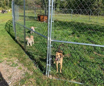 Natures Wilderness RV Lodge Dog Park