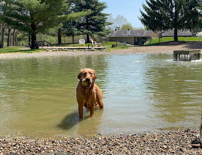 Shaggy Pines Dog Park