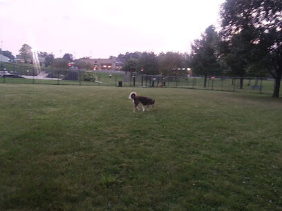 Adrian Dog Park