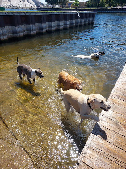 Thomas Stafford Dog Park