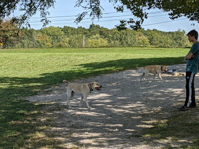 Swift Run Dog Park