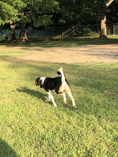 Home Run Dog Park