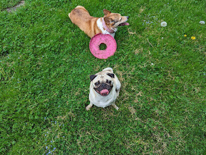 St. Joseph dog park
