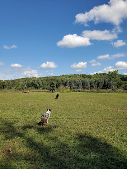 Ridge Run Dog Park