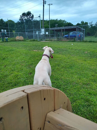Field of Dreams Dog Park